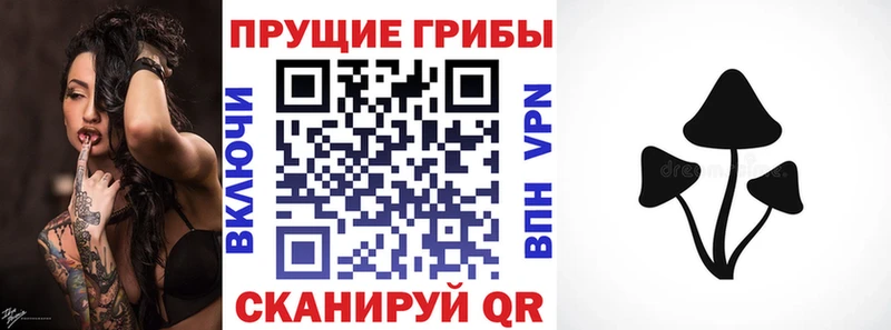 Псилоцибиновые грибы GOLDEN TEACHER  купить наркоту  Нарьян-Мар 