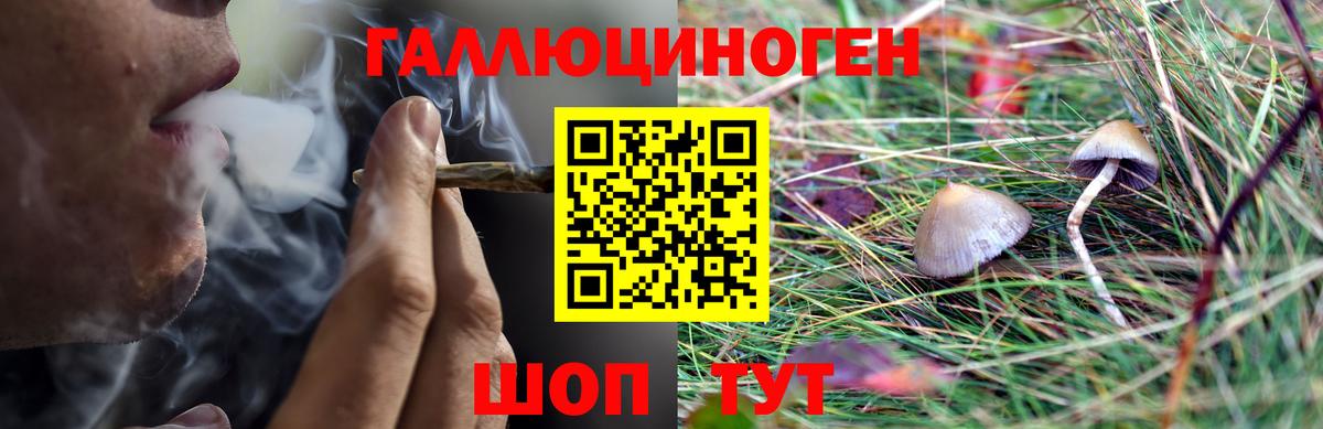 Галлюциногенные грибы Magic Shrooms Нарьян-Мар