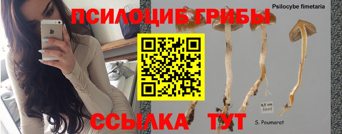 Галлюциногенные грибы MAGIC MUSHROOMS  Вход с VPN  Псилоцибиновые грибы мухоморы  Нарьян-Мар 